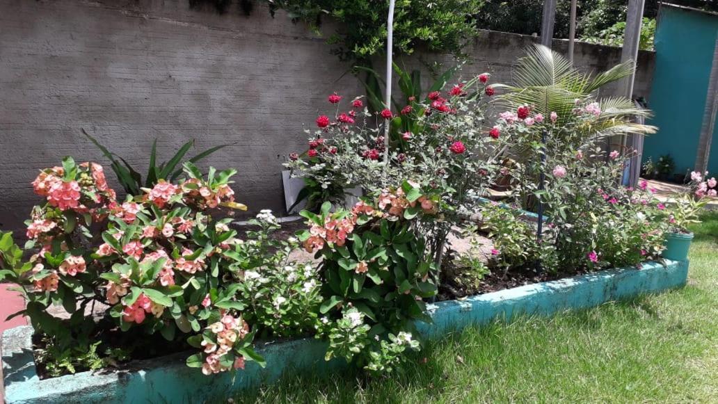 Pousada Tropicaliente ألتر دو تشاو المظهر الخارجي الصورة